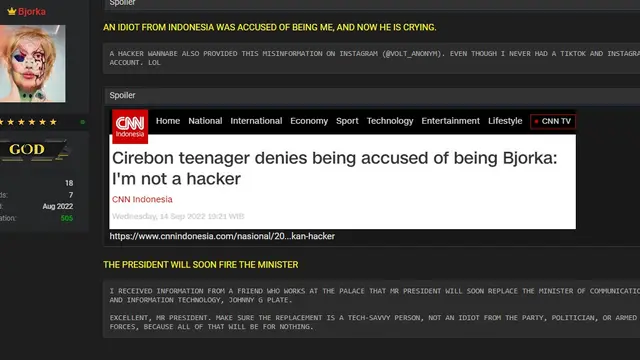 Tangkapan layar unggahan Bjorka di Breached.to
