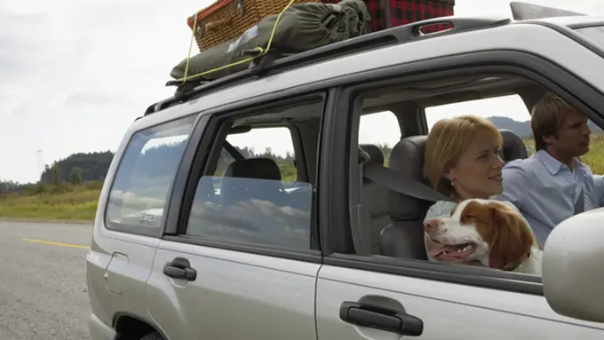 photo: copyright thinkstockphotos.com