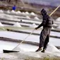 Harga garam yang tinggi semanis bulan madu justru tak bisa dirasakan sama sekali oleh petani garam di Jeneponto. (Liputan6.com/Ahmad Yusran)
