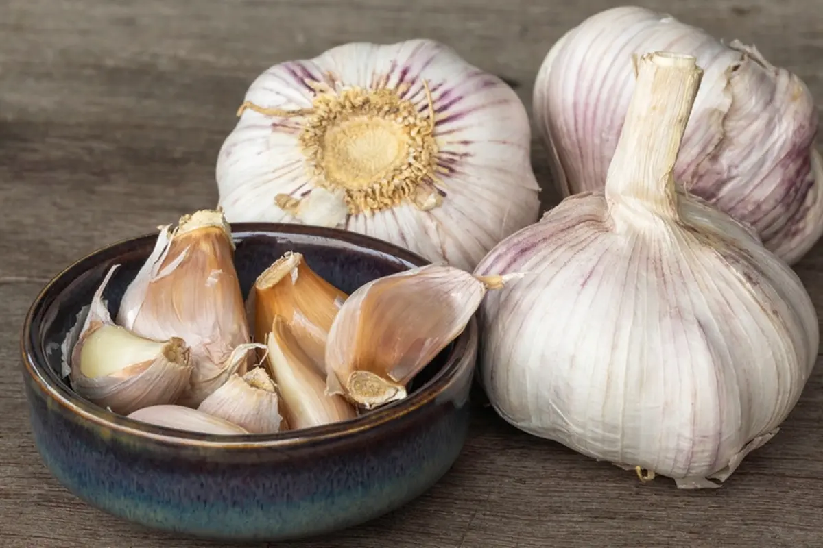 bawang