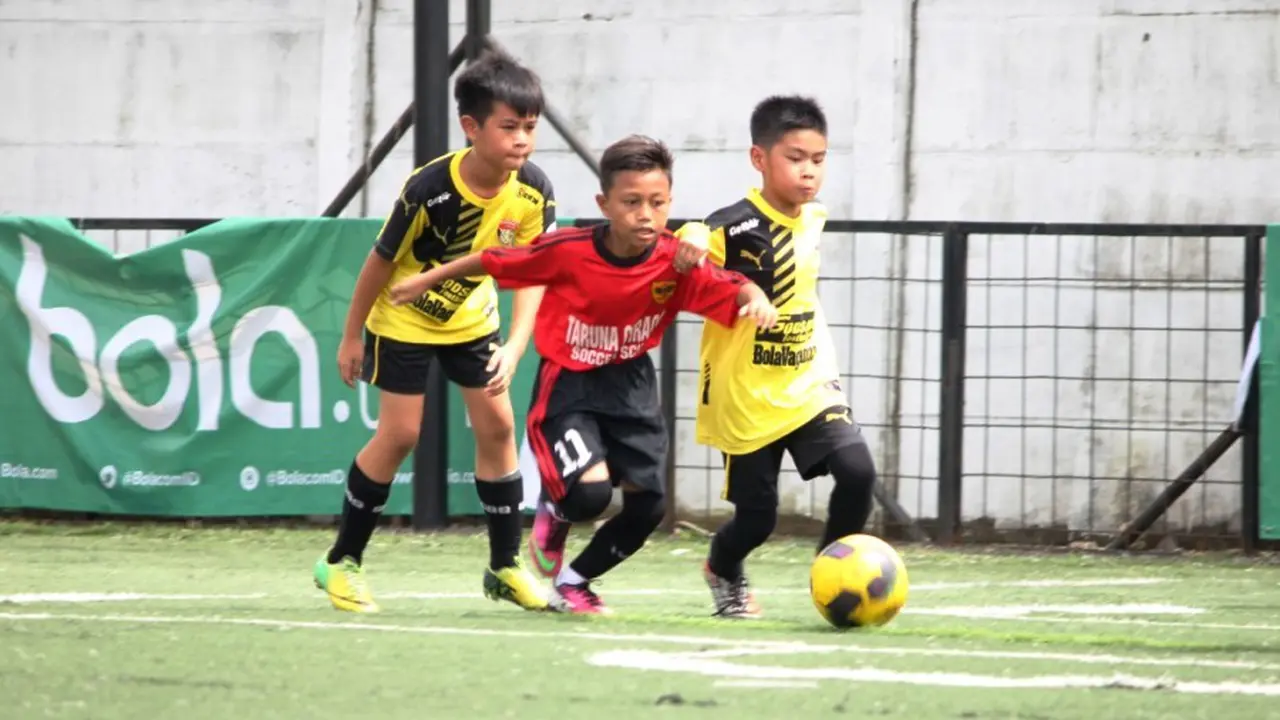 Liga Bola Indonesia 2016