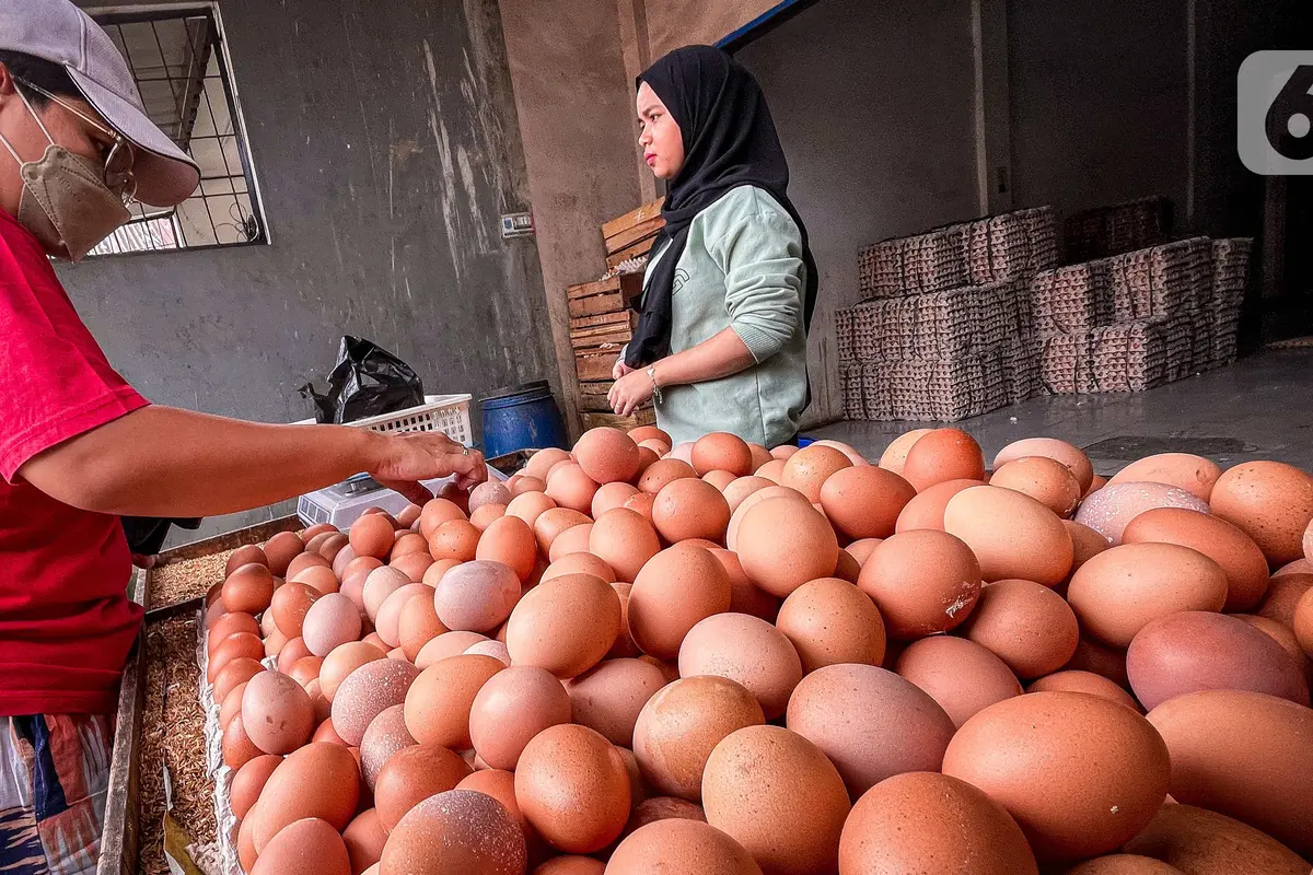 Harga Telur Alami Kenaikan