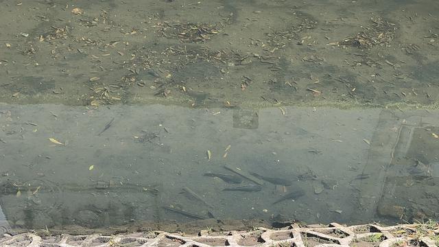 Kombinasi Tiga Strategi