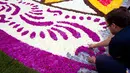 Seorang sukarelawan menata Karpet Bunga Brussels di Grand Place, Brussels, Belgia, Kamis (16/8). Karya ini didedikasikan kepada orang-orang Guanajuato di Meksiko yang kaya akan budaya dan tradisi bunga. (AP Photo/Virginia Mayo)