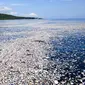 Kondisi pantai Roatan, Honduras yang dipenuhi sampah pada 7 September 2017. Fotografer bawah laut Caroline Power menemukan banyak sampah 15 mil di lepas pantai tersebut menuju Cayos Cochinos Marine Reserv. (AFP Photo/Caroline Power)