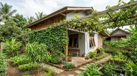 Cara Membuat Kebun Buah di Pekarangan Rumah untuk Pemula, Sebuah Panduan Lengkap