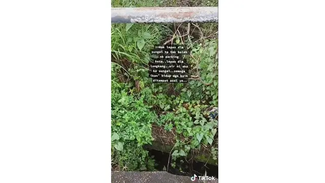 Alami Kejadian Mistis, Pemancing Ini Lepas Kembali 27 Ikan ke Sungai