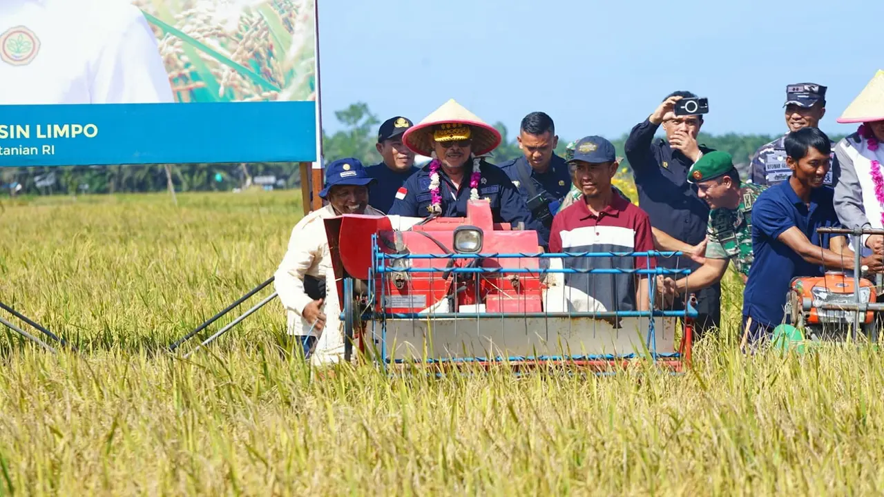 Mentan SYL Panen Raya di Bengkulu, Apresiasi Keberhasilan Petani Tingkatkan Produksi