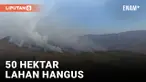 Tak Kunjung Padam, Ini Kondisi Gunung Bromo Terbaru