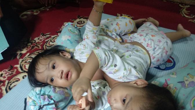Bayi kembar siam Kendari saat bermain.(Liputan6.com/Ahmad Akbar Fua)