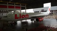 Lion Air 2