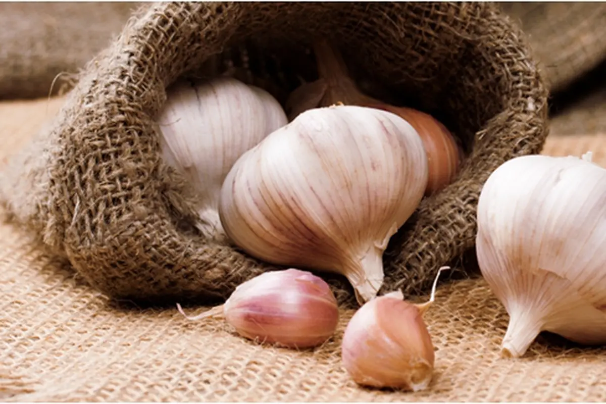 Courtesy ShutterStock.com