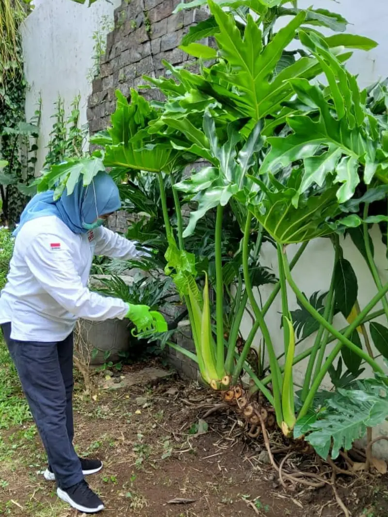 Gubernur Jawa Timur Khofifah Indar Parawansa