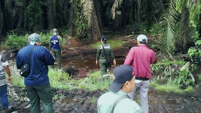 Memburu Harimau