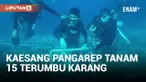 Datangi Banyuwangi, Kaesang Pangarep Disambut Tarian Gandrung