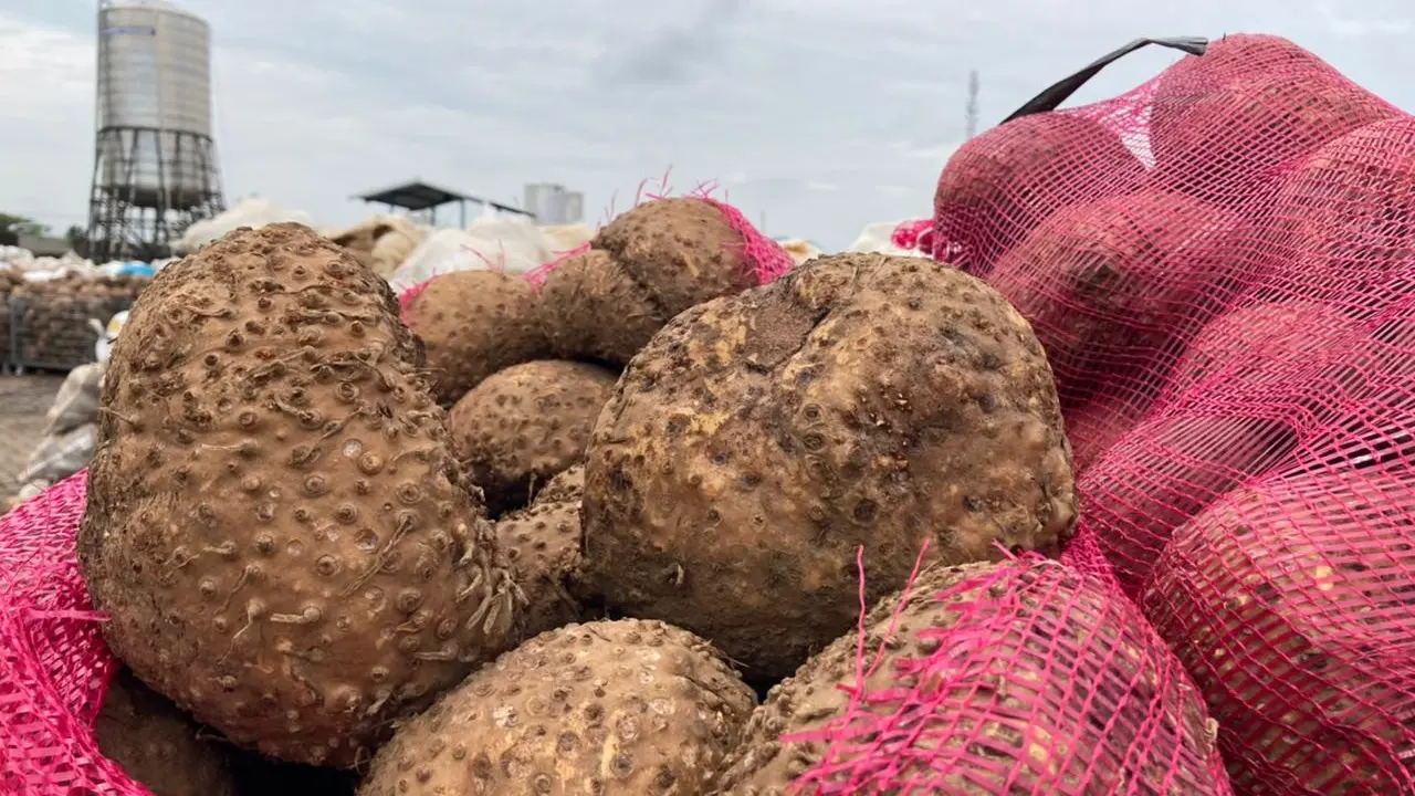 Komisi IV Apresiasi Kementan dan Mendorong Jawa Timur Jadi Produsen Utama Porang