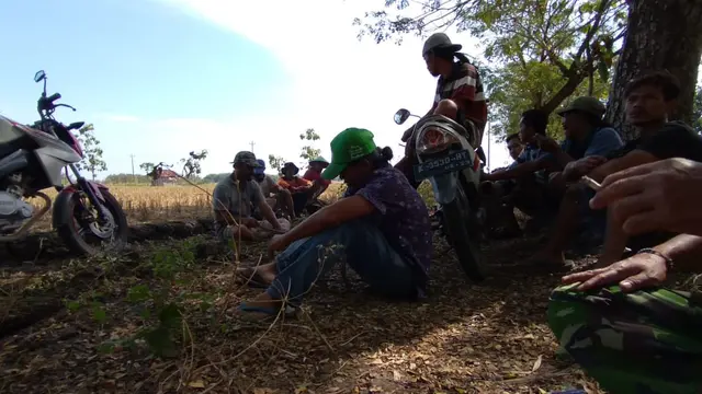 Petani 2 desa di Blora menolak beroperasinya tambang pasir di tengah sawah produktif. (Foto: Liputan6.com/Ahmad Adirin)