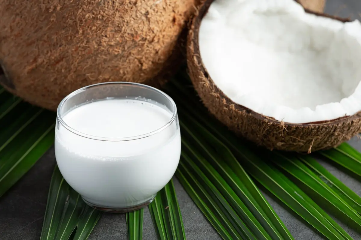 Ilustrasi Santan Kelapa/Freepik.com/jcomp