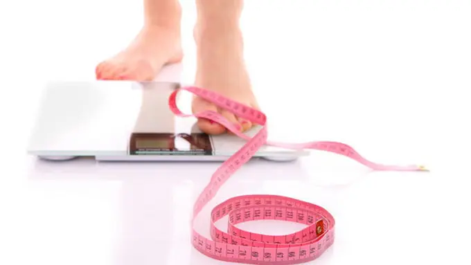 copyright by shutterstock.com