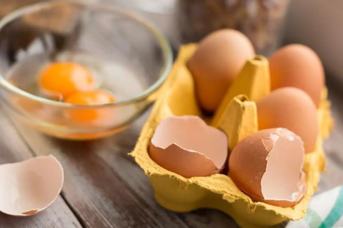 Jangan menyimpan telur di sembarang tempat. Ini yang tepat.