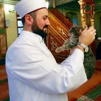 [Bintang] Imam Ini Sengaja Buka Pintu Masjid untuk Kucing Cari Kehangatan