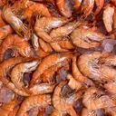 Alergi Udang Mengancam Nyawa, Terapi Baru Mulai Diuji