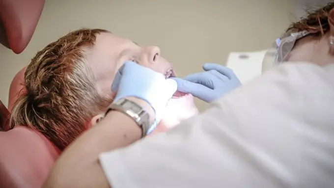 copyright pexels.com