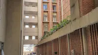 Bangunan Rumah Sakit dan Pusat Riset Universitas Symbiosis, Pune, India. (dok. Instagram @imkarchitects_india/https://www.instagram.com/p/CEtzwlrpfg5/)