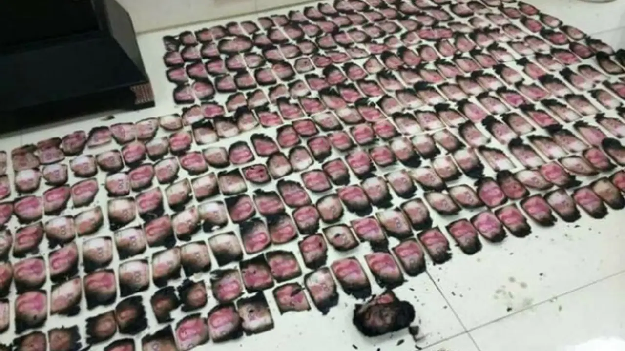 Tabungan 42 Juta Rupiah Hangus Terbakar