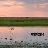 Taman Nasional Liuwa Plain, Zambia. (journeyinstyle.co.za)