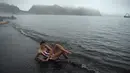 Wisatawan menikmati air panas di danau kawah Pulau Deception, Antartika, 6 Maret 2016. Danau air panas itu berasal dari kaldera gunung berapi aktif yang rusak pada tahun 1967 dan 1969 hingga membentuk danau kawah berair panas. (AFP PHOTO/Eitan Abramovich)