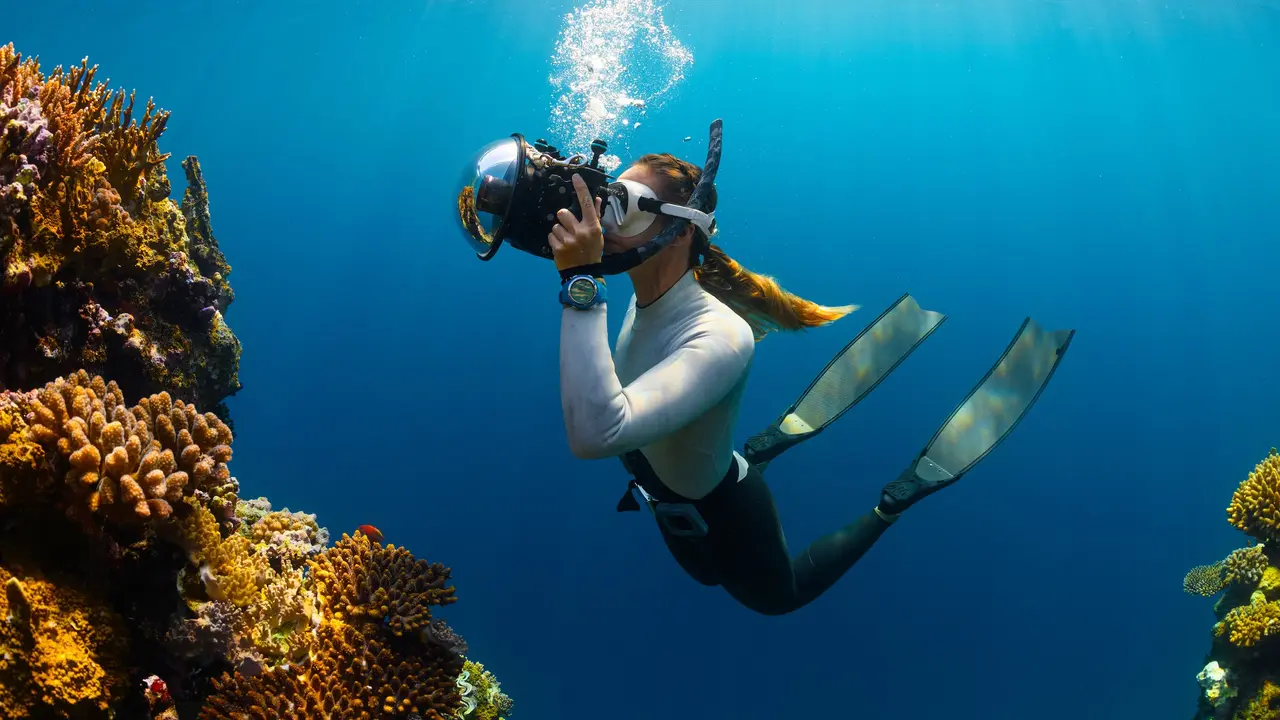 Ilustrasi snorkeling