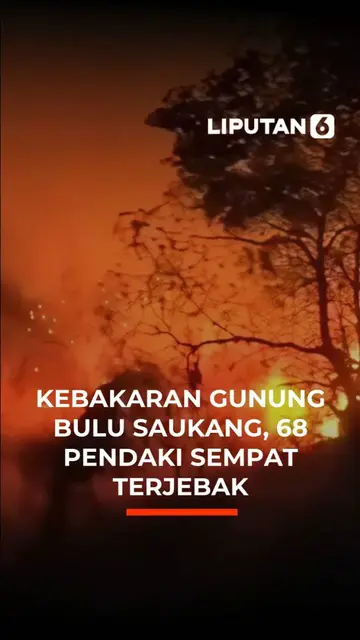 Kebakaran Gunung Bulu Saukang, 68 Pendaki Sempat Terjebak