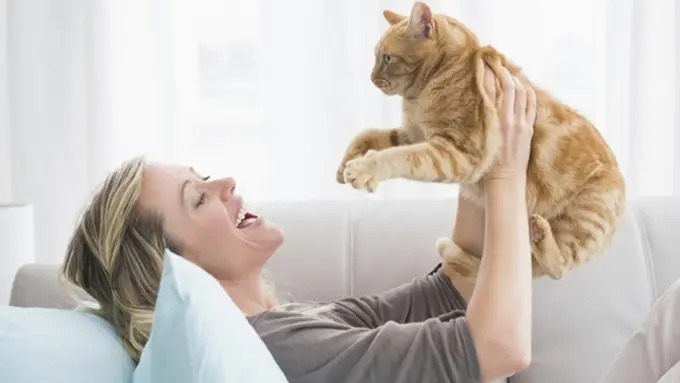 [Bintang] Hewan Peliharaan Sesuai Zodiak, Kamu Cocoknya Pelihara Apa?