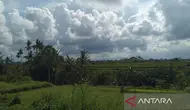 Cuaca Didominasi Awan Tebal, BMKG Beri Peringatan untuk Papua