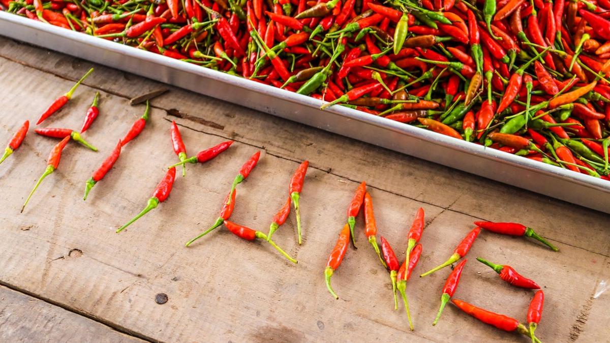 Rasa Pedas Tak Kunjung Hilang? Coba Redakan dengan 1 Bahan Sederhana Ini