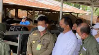 Jelang Idul Adha Mentan Syahrul Tinjau Kesiapan Kurban di Kota Makassar