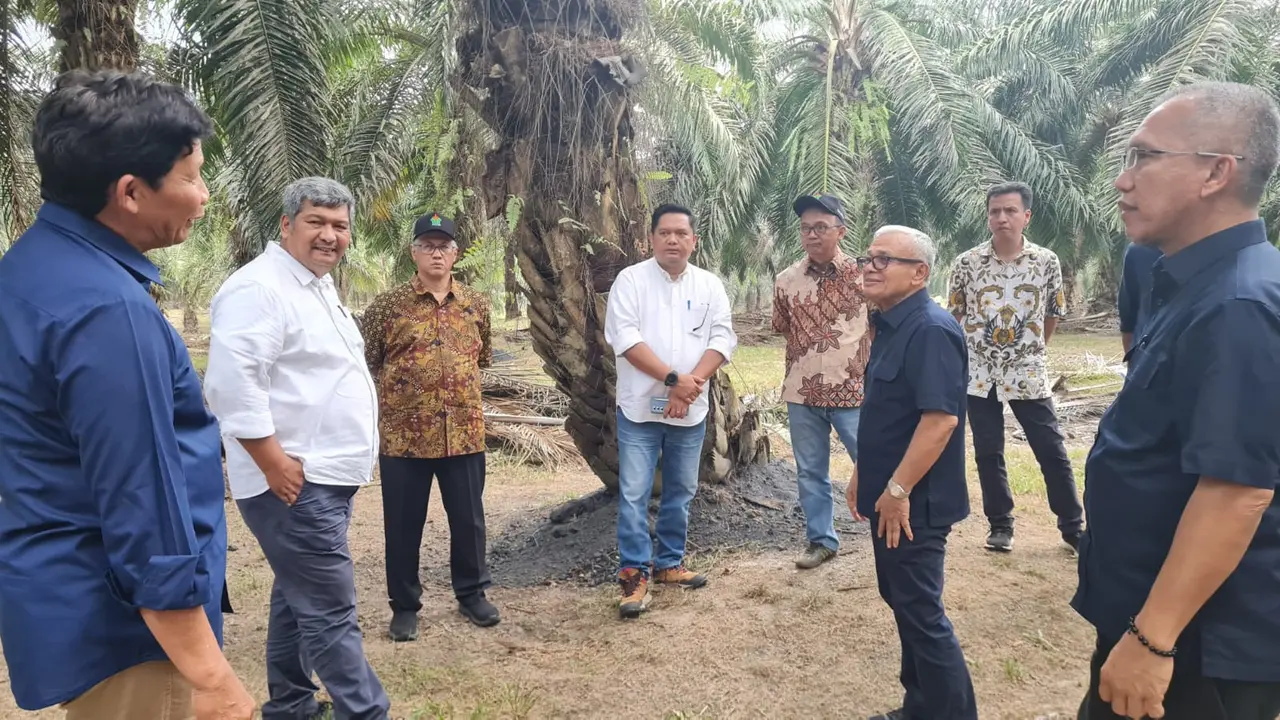Dewan Komisaris PTPN IV melakukan kunjungan kerja selama dua hari (Selasa-Rabu, September 2024) ke Regional 7 yang meliputi Kebun dan PKS Betung, Betung Krawo, serta Rejosari. Foto : (Istimewa).