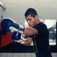 Peralatan Latihan Tinju Praktis untuk Home Workout, Cocok untuk Pemula hingga Pro