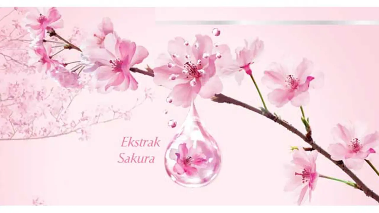 Menemukan Rahasia Keajaiban Sakura (IKLAN)