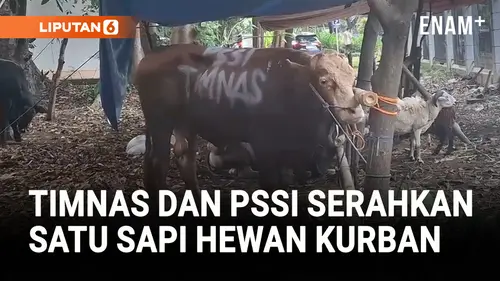 VIDEO: Menang Lawan China, Timnas dan PSSI Rayakan dengan Kurban Sapi ke Masjid Al Bina Senayan