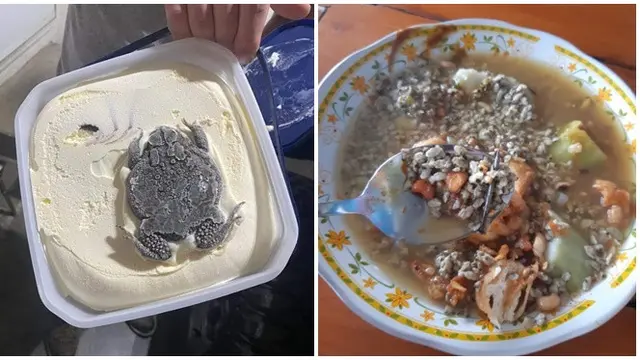 6 Potret Penemuan Nyeleneh di Makanan Ini Bikin Heran, Jadi Enggak Napsu