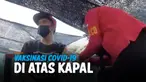 THUMBNAIL CORONA