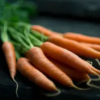 Ilustrasi wortel/copyright unsplash