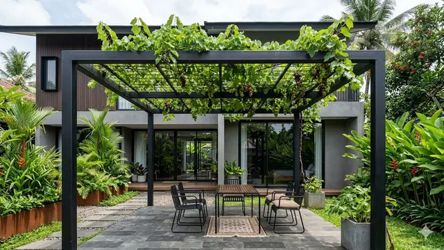 Ide Pergola Sederhana untuk Tanaman Buah Rambat