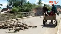 Warga Blokade Jalan dengan Batu dan Pohon