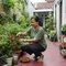 Cara Menanam Cabe Rawit di Rumah, Mudah Dilakukan Pemula