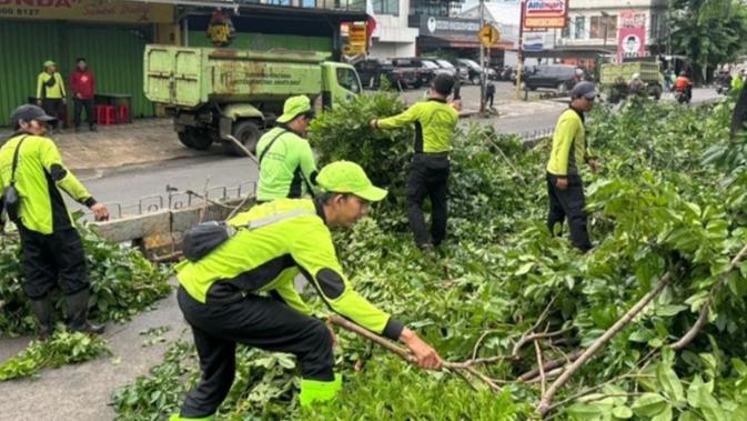 Hati-Hati, Ada Pohon Tumbang di Kemang Raya, Mampang dan Pakubowono Imbas Hujan Angin