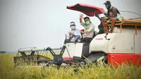 Panen Padi di Karawang, Mentan Pastikan Pasokan Pangan Aman