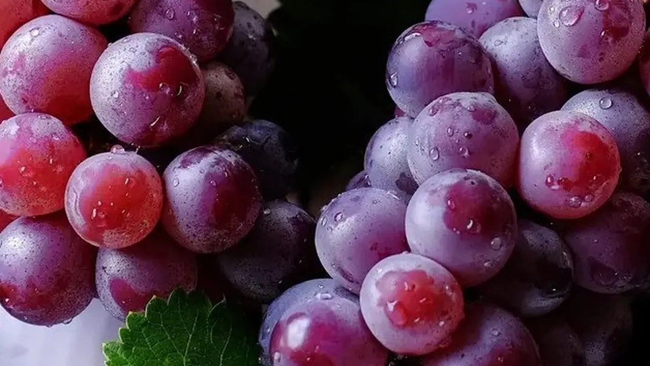Buah Anggur (Sumber: Liputan6.com)